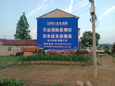 贺州墙体广告的优劣势你知道吗？